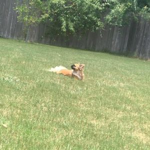 Meet your Posher, Sherlyn